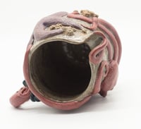 Image 12 of Pacific Coast Pitcher