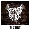 26.07.2025 - DEFEATED SANITY + COGNITIVE + VOMITOUS INIQUITY 