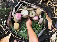 Image 11 of WILD CREATIVE KIDS BOLD PARK