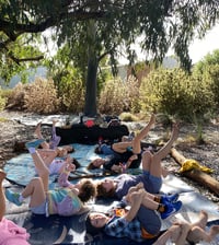 Image 19 of WILD CREATIVE KIDS BOLD PARK