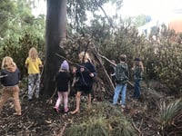 Image 24 of WILD CREATIVE KIDS BOLD PARK