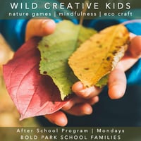 Image 1 of WILD CREATIVE KIDS BOLD PARK