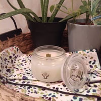 Bug repellent Candles 8oz