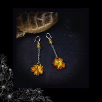 Image 5 of ☽ Primula Ambra ☾