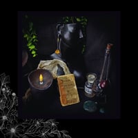 Image 3 of ☽ Primula Ambra ☾