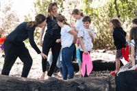 Image 9 of WILD CREATIVE KIDS BOLD PARK