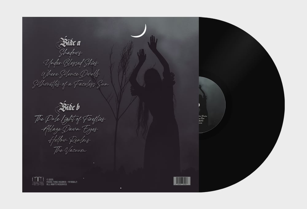 The Fragile Light Of Fireflies Black LP