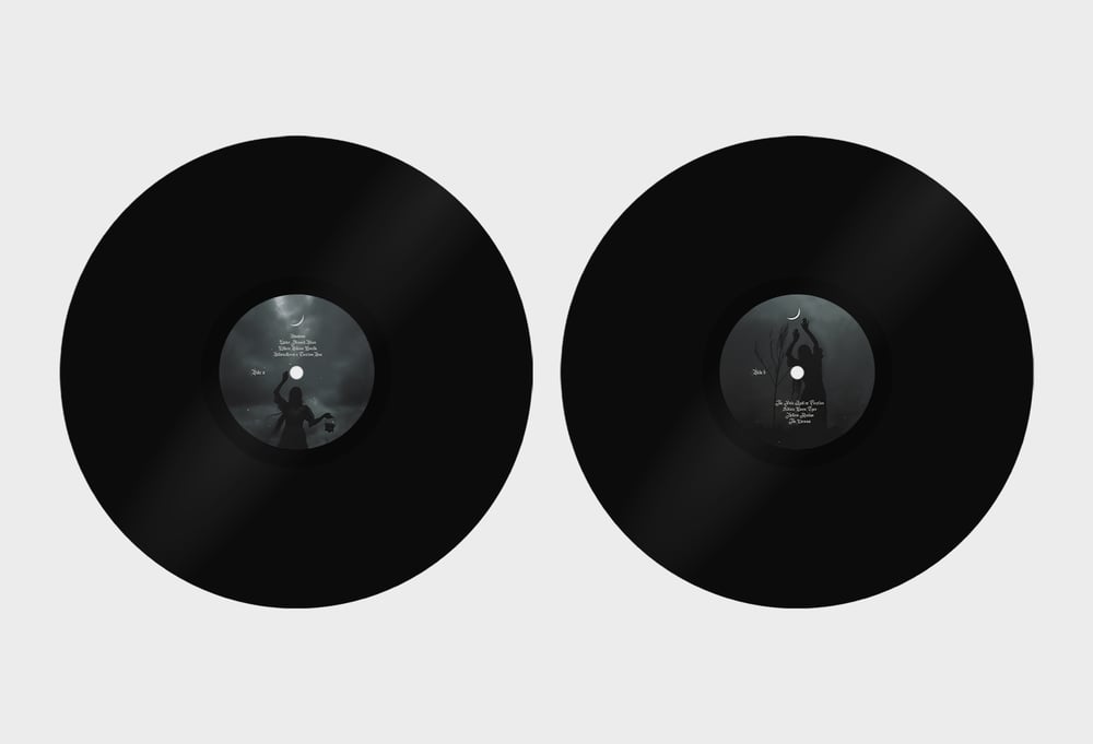 The Fragile Light Of Fireflies Black LP