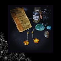 Image 4 of ☽ Primula Ambra ☾