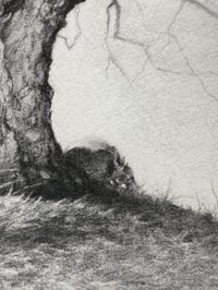 Image 2 of Tree of Woe  11x14” Giclée Print