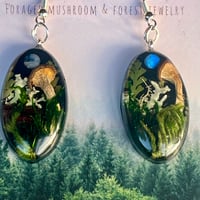 Image 1 of Spores of the Forgotten Realm