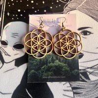 Image 1 of Seed of the Infinite