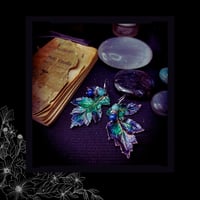 Image 5 of ☽ Heracleum Pavonis ☾