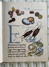 Image 7 of Nature's ABC by Eileen Mayo
