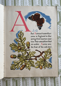 Image 8 of Nature's ABC by Eileen Mayo