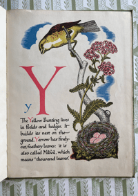 Image 10 of Nature's ABC by Eileen Mayo
