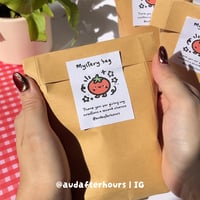 Image 1 of Mystery Bag