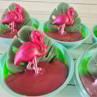 Image 1 of Pink Flamingo Domes
