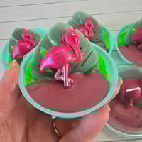 Image 3 of Pink Flamingo Domes
