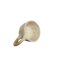 Image of Tazza Fiorellini Gialli 