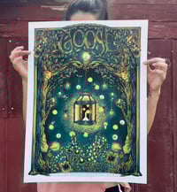 Image 1 of Goose: Indianapolis, IN, 6/12/25