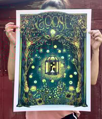 Image 2 of Goose: Indianapolis, IN, 6/12/25