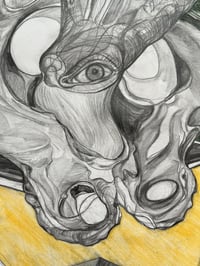 Image 2 of Fossil journey