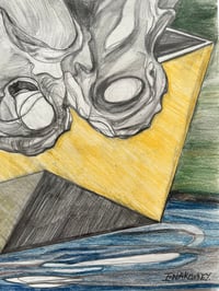 Image 3 of Fossil journey