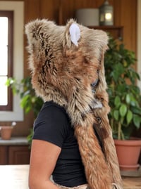 Image 3 of Timberwolf Bolli Bear
