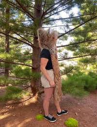 Image 6 of Timberwolf Bolli Bear