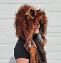 Image 2 of Copper Fox Bolli Bear