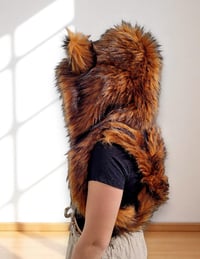 Image 5 of Copper Fox Bolli Bear