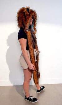 Image 6 of Copper Fox Bolli Bear