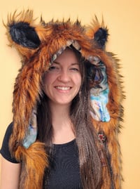 Image 7 of Copper Fox Bolli Bear