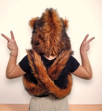 Image 4 of Copper Fox Bolli Bear