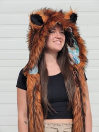 Image 1 of Copper Fox Bolli Bear