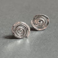 Ammonite earrings