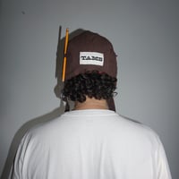 Image 4 of Chocolate Flying Cap