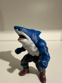 Image 1 of #22 Ripster