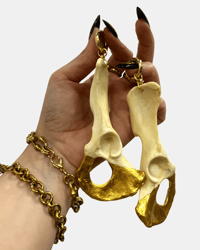 Badger pelvis weights