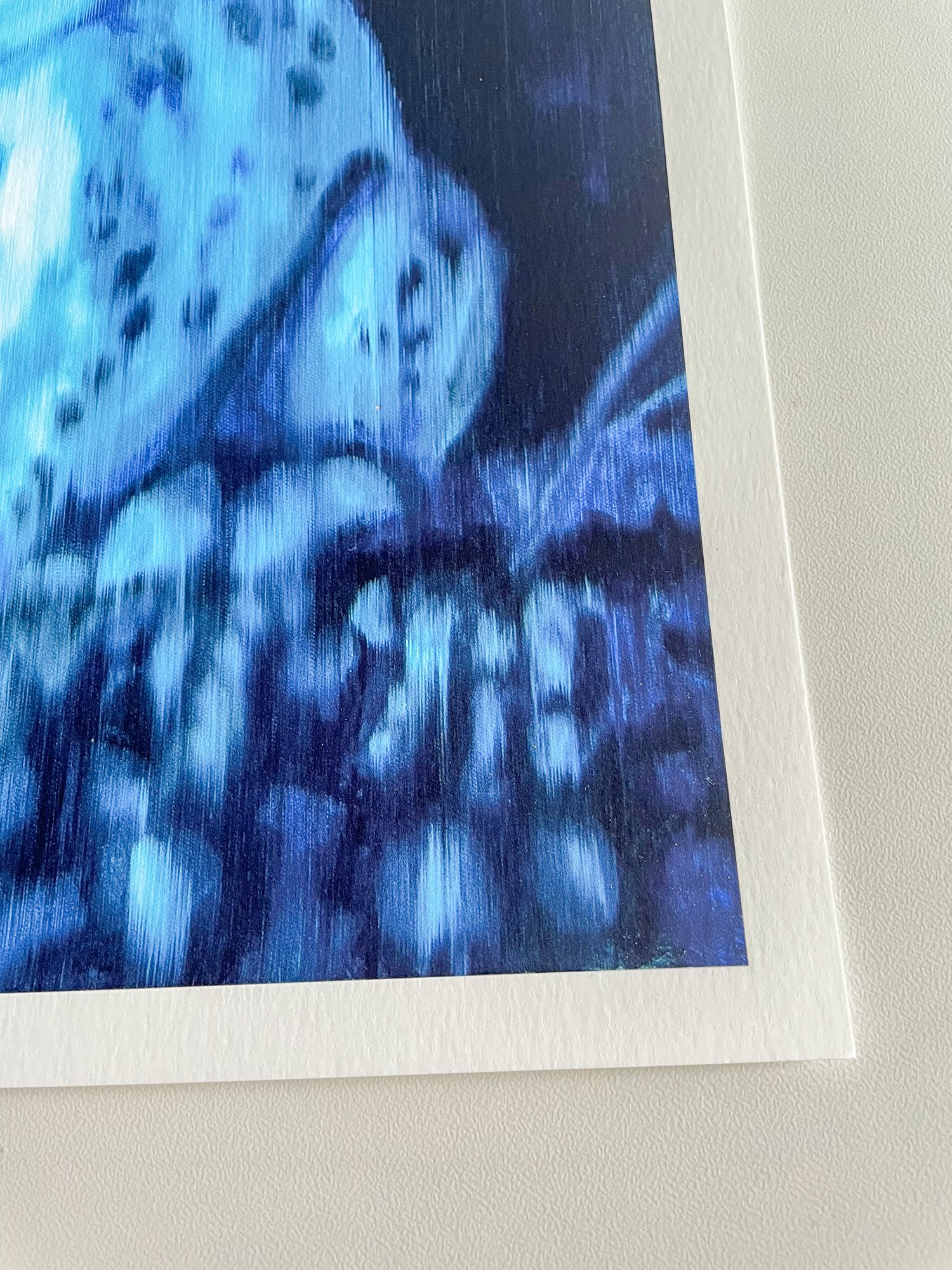 Image of "Toad Portrait" Limited Edition Fine Art Print