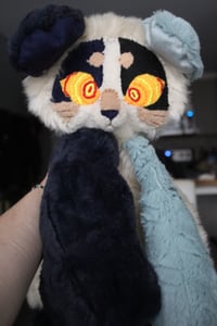 Image 1 of Blue Aussie Puppy 🦴🐶🩵