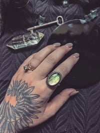 Image 1 of Alpha Ring (10.5)