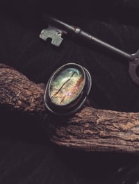 Image 2 of Alpha Ring (10.5)