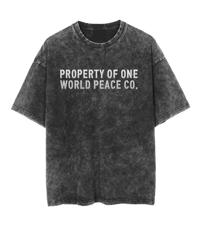 Image 3 of 50 states united tee