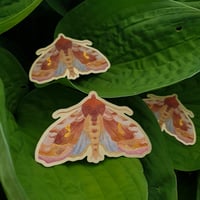 Image 1 of Gammafly: klistremerke