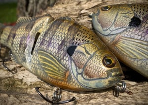 Image of 6” Ann Xslowsink (Lavender Honey Gill)