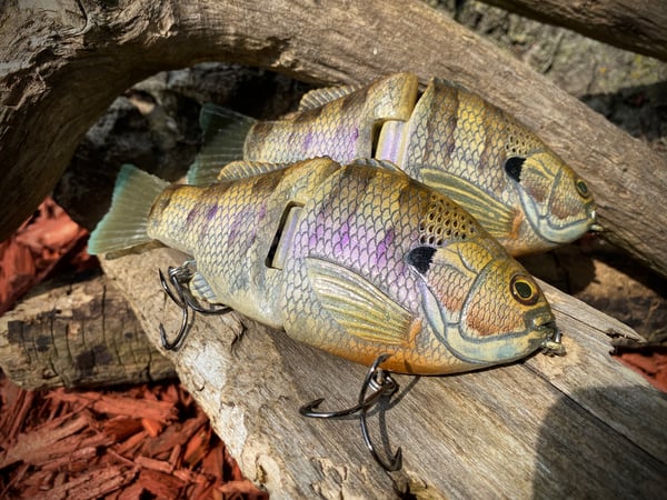 Image of 6” Ann Xslowsink (Lavender Honey Gill)