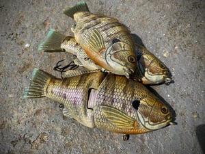 Image of 6” Ann Xslowsink (Lavender Honey Gill)