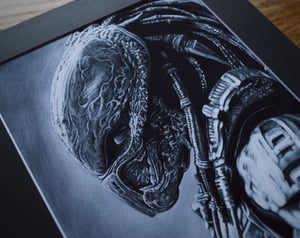 Image of Predator - (open edition print) 
